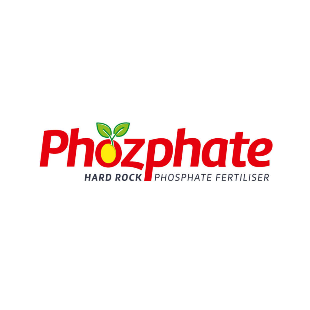 Phozphate logo design